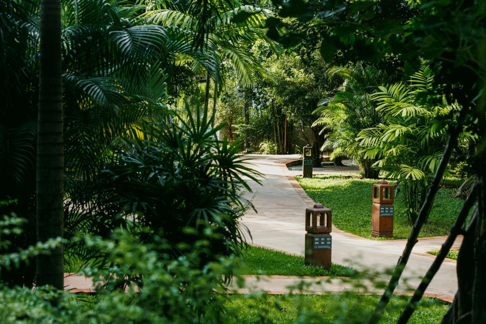 Angkor Grace Wellness Resort เสียมราฐ ภายนอก รูปภาพ